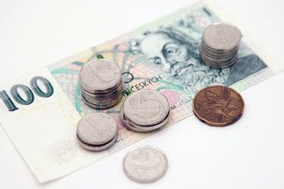 Školní výlet za pět tisíc? Jak se z exkurzí stal luxus, který si běžné rodiny nemohou dovolit - Médium.cz